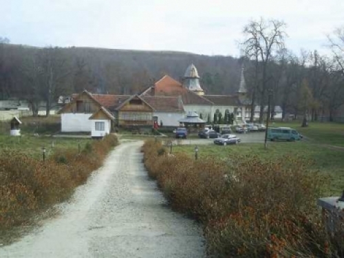 Manastirea Dobric poza